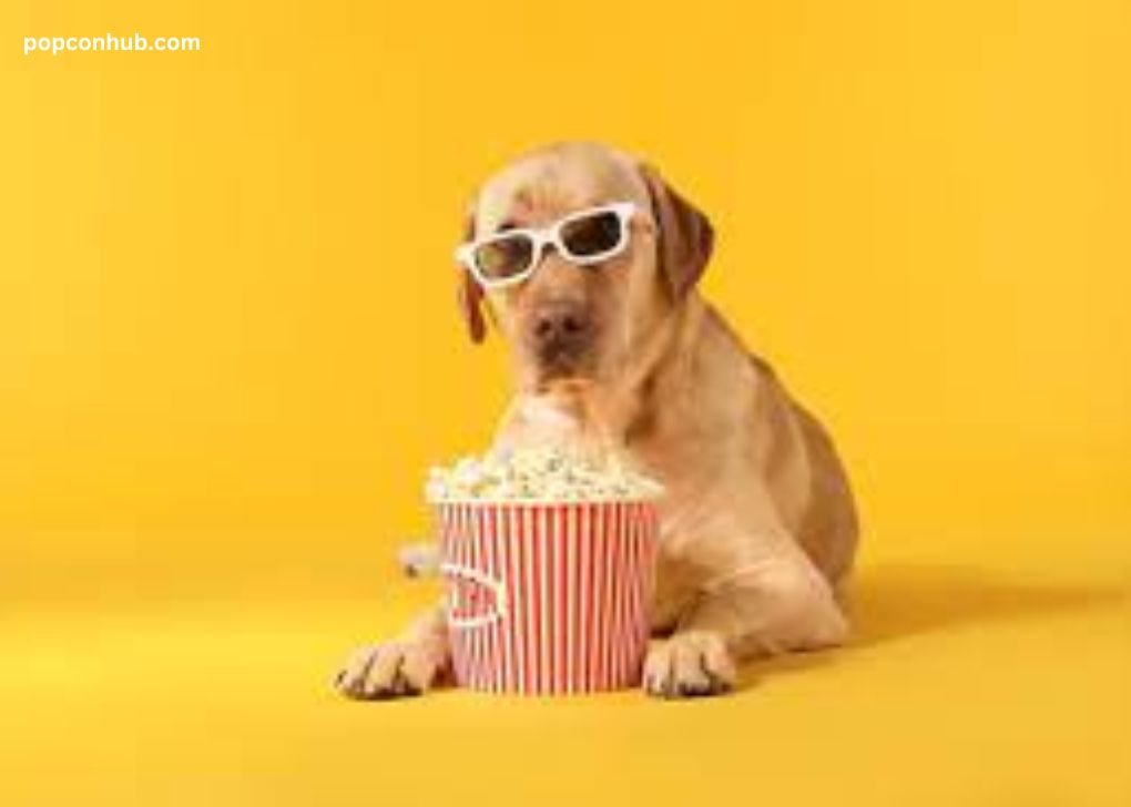  Can Dogs Eat Salty Popcorn?