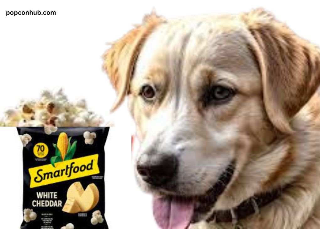 Can Dogs Eat Smartfood Popcorn?