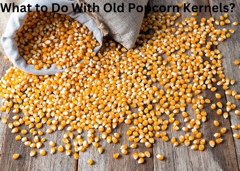 What to Do With Old Popcorn Kernels?